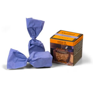 Praline Cremino Praline Cube - Cube 30g