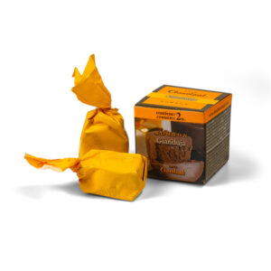 Gianduja Praline Candy Cube - Cube 30g