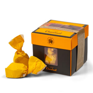Gianduja Praline Praline Cube - Cube 120g