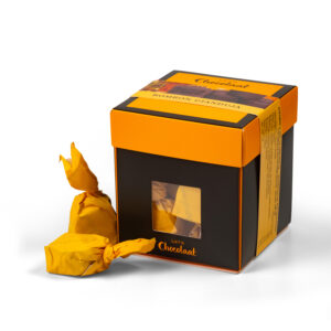 Gianduja Praline Praline Cube - Cube 200g